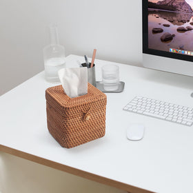 DECRAFTS rattan tissue box cover packaging displays natural material