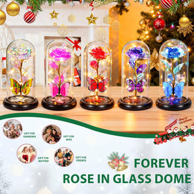 DEEMEI durable keepsake that can be enjoyed for years