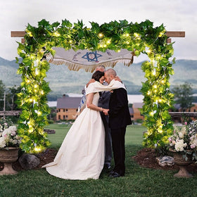 DEKEones USB-curtain lights paired with ivy for versatile room decoration.