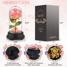 Deluxsa plastic clear dome showcasing preserved rose glow
