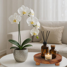 Demigo natural wood finish complements farmhouse and modern interiors.
