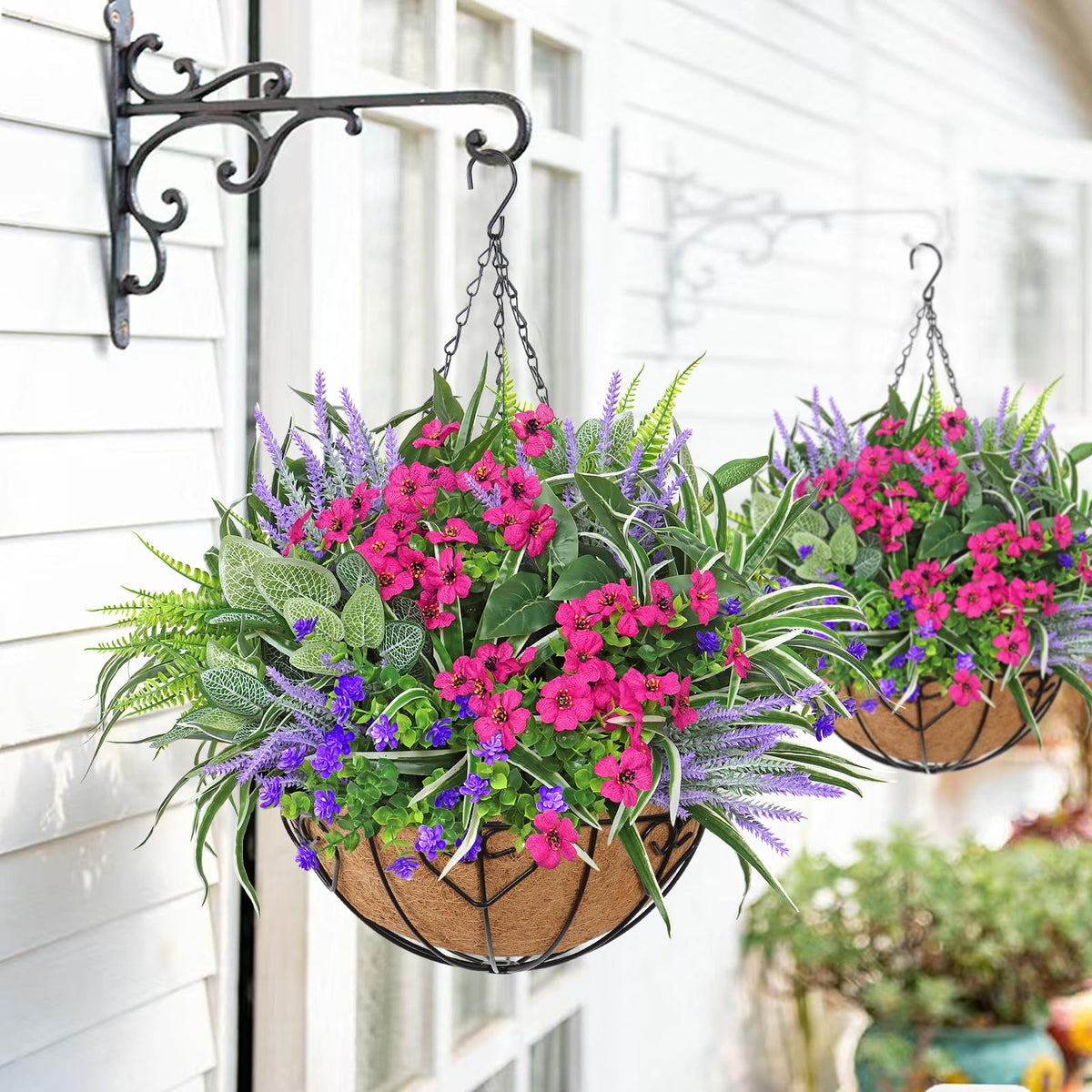 DEMIUKO lavenders bring calming color to decks and windowsills