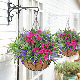 DEMIUKO lavenders bring calming color to decks and windowsills