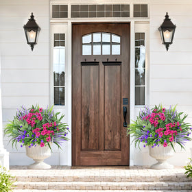DEMIUKO taro plants add tropical flair with zero upkeep