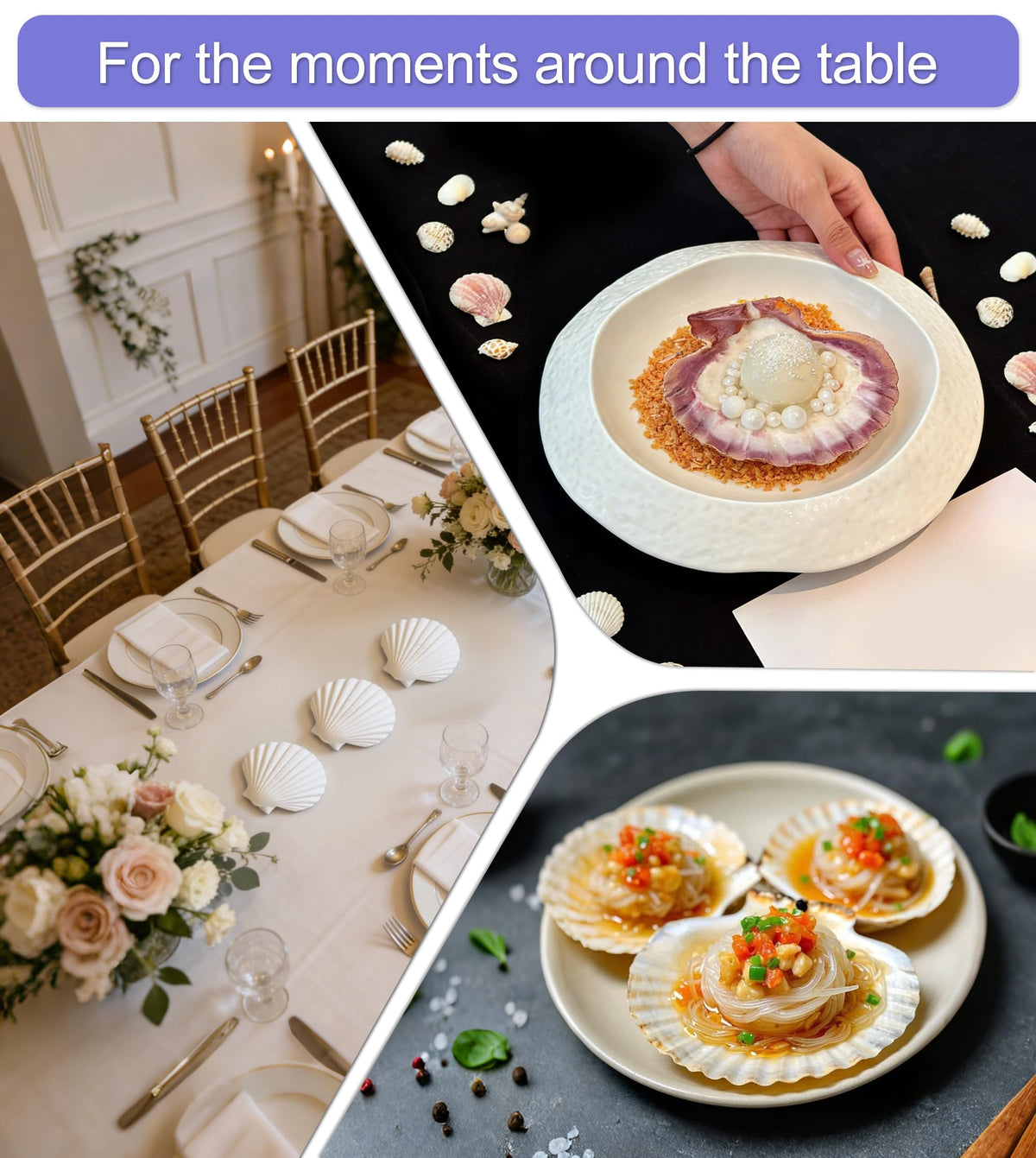 Denking shells perfect for crafts resin art and coastal home accents
