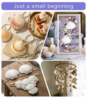 Denking scallop shells for elegant beach wedding decor and table centerpieces