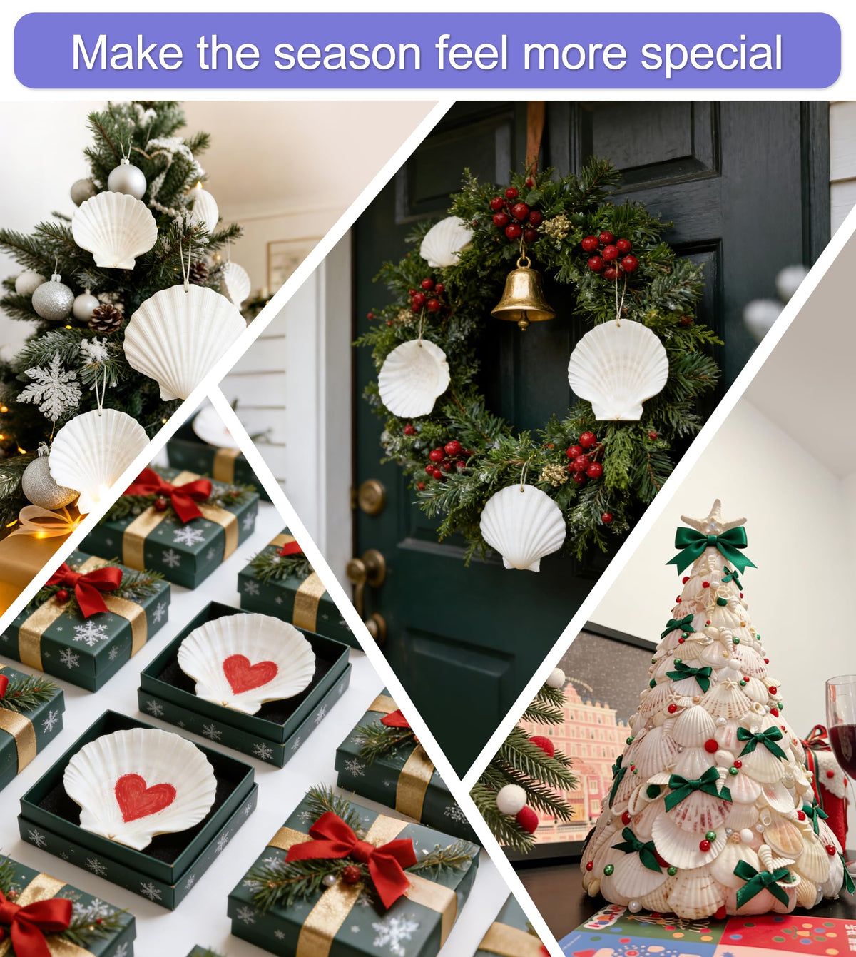 Denking natural white scallops suitable for DIY table decor and gifts