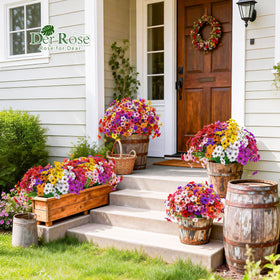 Der Rose 24 bundles outdoor flowers yellow bouquet brightens patios and porch plantings