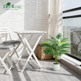 Der Rose palm in living room demonstrates maintenance-free greenery.
