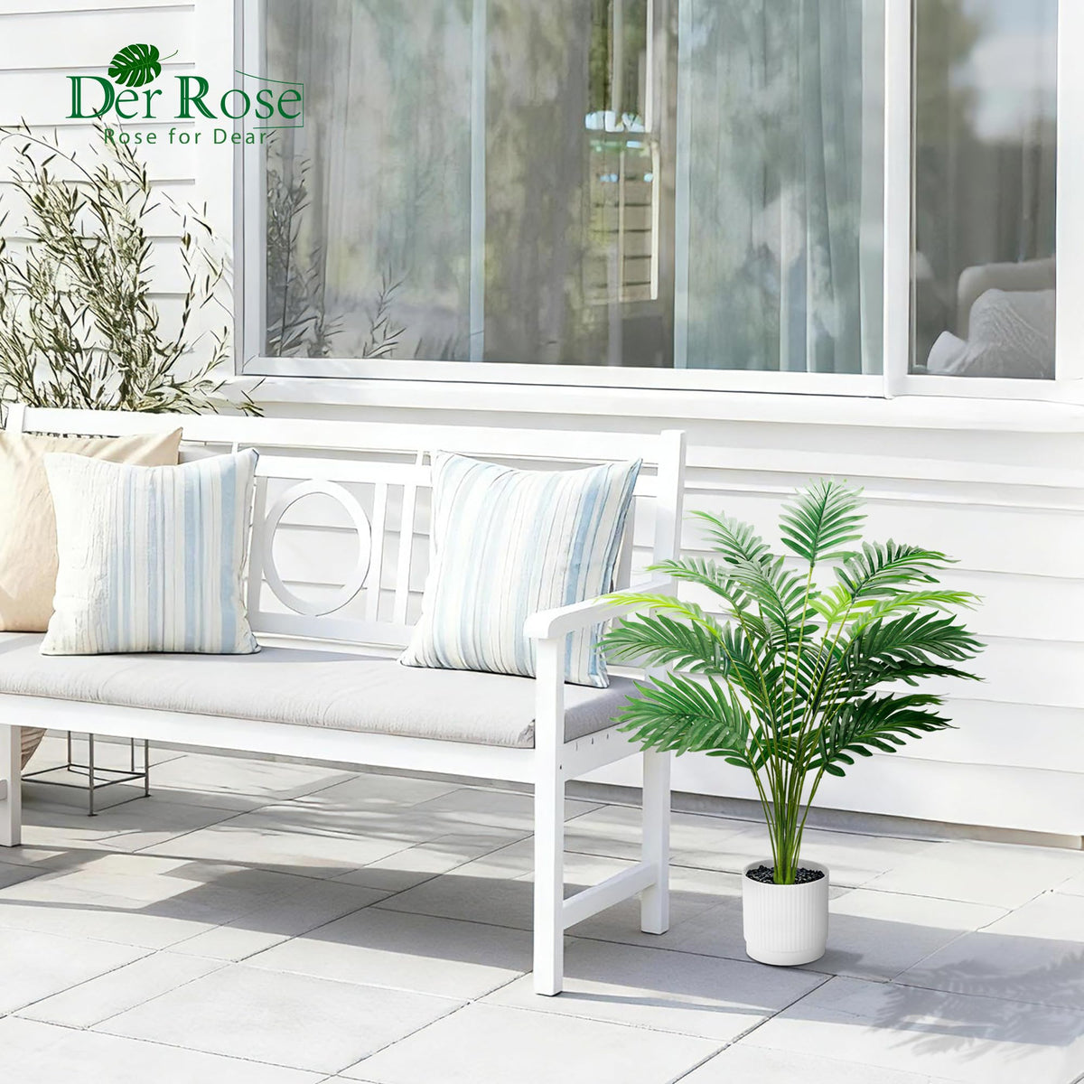 Der Rose palm in white pot demonstrates compact, stylish base for indoor spaces.