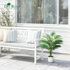 Der Rose palm in white pot demonstrates compact, stylish base for indoor spaces.