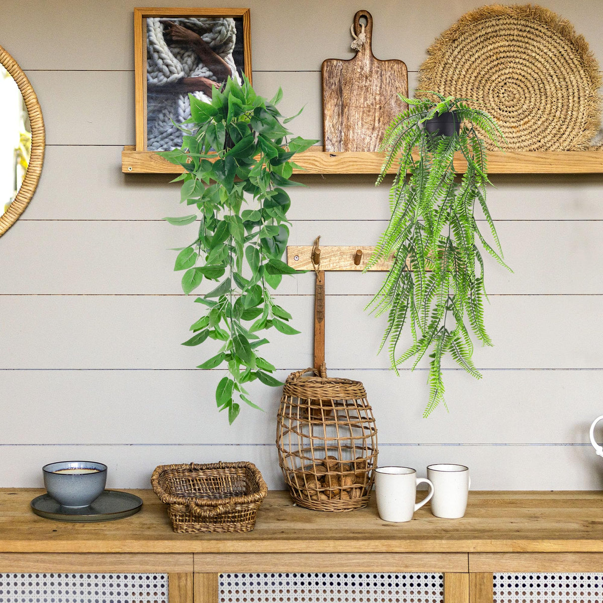 Der Rose Boston fern hanging provides a verdant cascade for indoor decor.