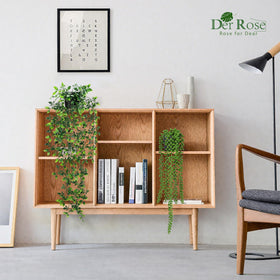 Der Rose mixed hanging plants enhance any room without daily maintenance.