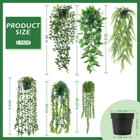 Der Rose string of pearls hanging elevates shelves with low-maintenance greenery.