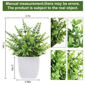 Der Rose artificial greenery in pots enhances office decor without watering.