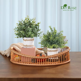 Der Rose artificial plants styled on bookshelf for cozy decor.
