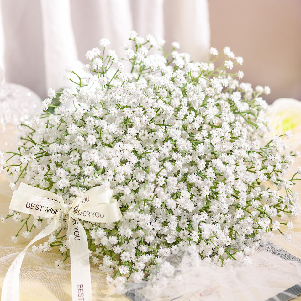 Der Rose Baby's Breath bundles—24 elegant white clusters for lush arrangements.