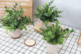 Der Rose boho decor ideas for farmhouse bathroom or shelf styling