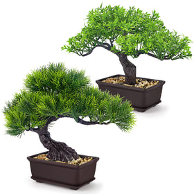 Der Rose bonsai set with ficus and cedar for desk decor and calm workspace.