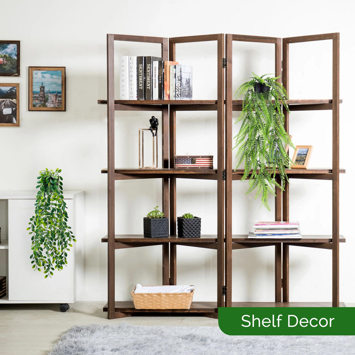 Der Rose chicken heart leaf 6pack: compact greenery for desks or corners