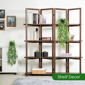 Der Rose chicken heart leaf 6pack: compact greenery for desks or corners