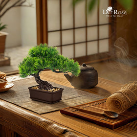 Der Rose compact bonsai gifts ideal for gifting to design enthusiasts.