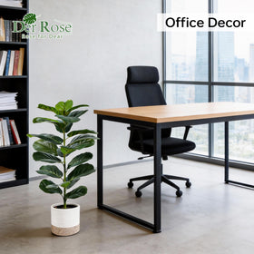 Der Rose dust-friendly fiddle leaf fig tree for easy care