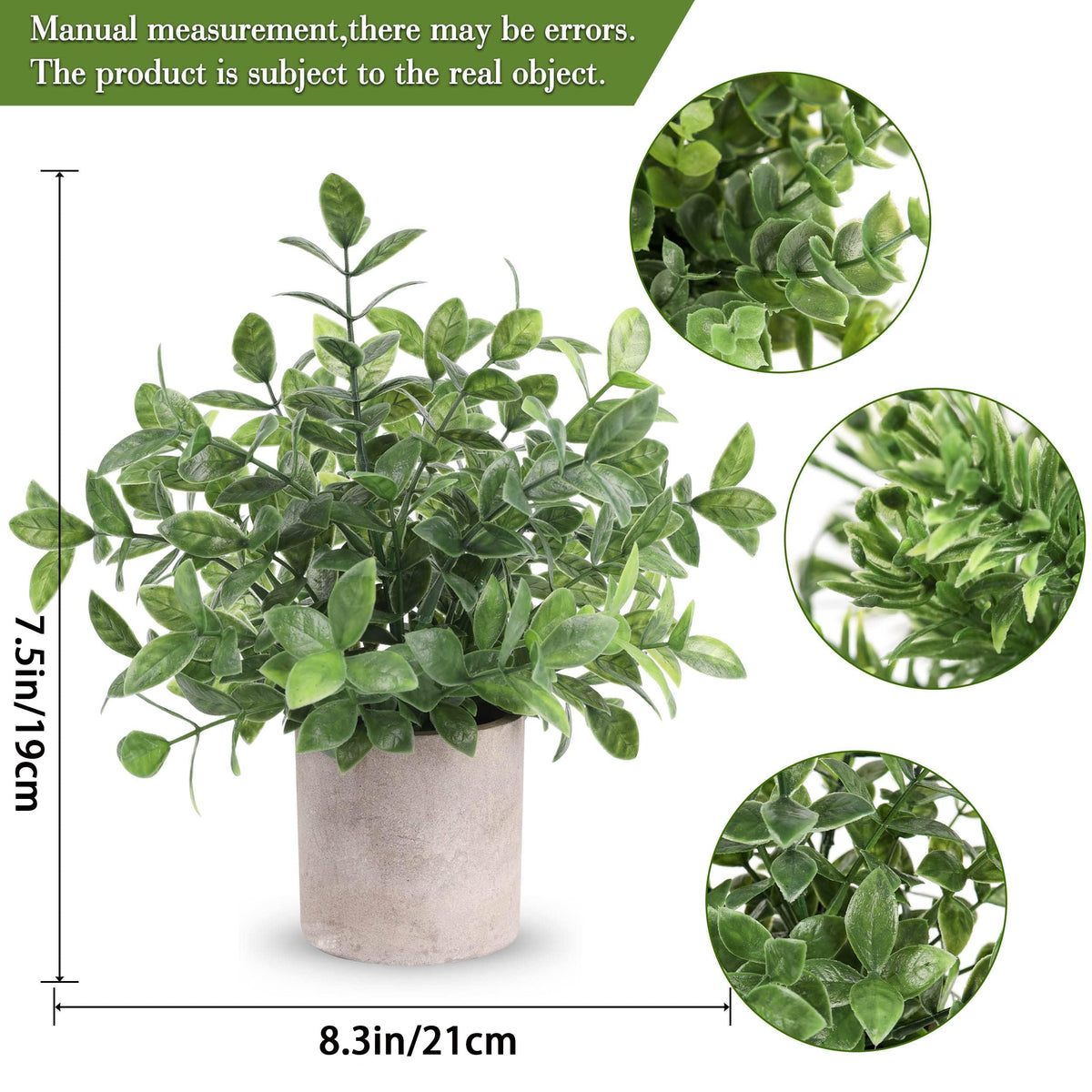 Der Rose eucalyptus leaves with frosty gray-green texture for realistic decor