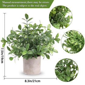 Der Rose eucalyptus leaves with frosty gray-green texture for realistic decor