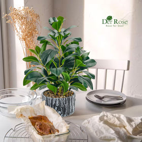 Der Rose fake plants in a rustic planter boost coffee table decor.