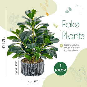 Der Rose artificial plants require no watering or sun, staying vibrant.