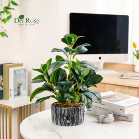 Der Rose fake plants with black and white striped pots enhance modern decor.