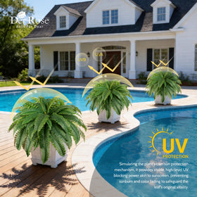 Der Rose 60-leaf fern, dense fans create a lush, natural look.