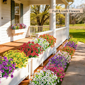 Der Rose flexible stems for easy shaping in planters and beds
