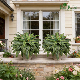 Der Rose flexible-wire fern easy to shape.