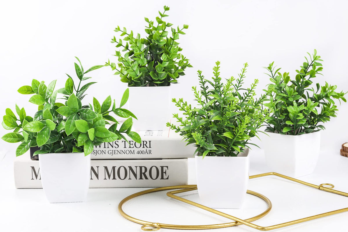 Der Rose four-pack brings natural vibes to any decor style.
