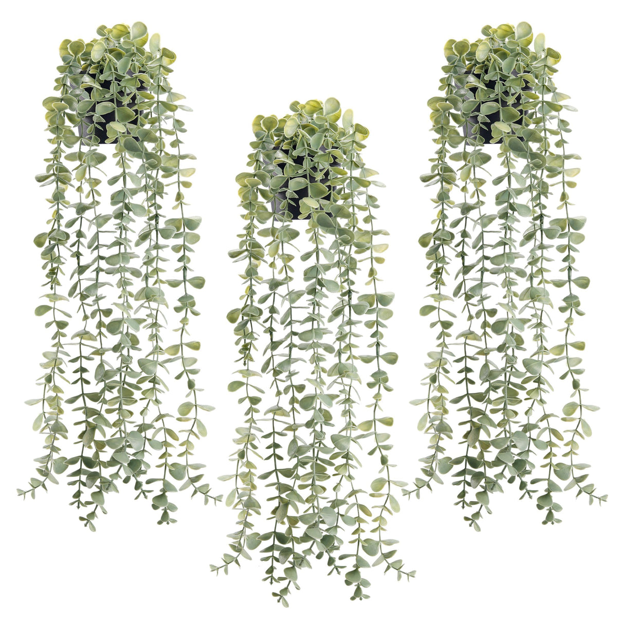 Der Rose 3Pcs hanging potted eucalyptus leaves add evergreen charm to any room