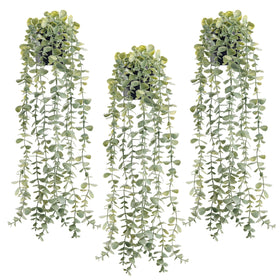 Der Rose 3Pcs hanging potted eucalyptus leaves add evergreen charm to any room