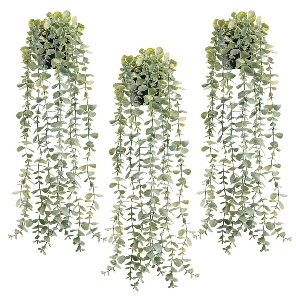Der Rose 3Pcs hanging potted eucalyptus leaves add evergreen charm to any room