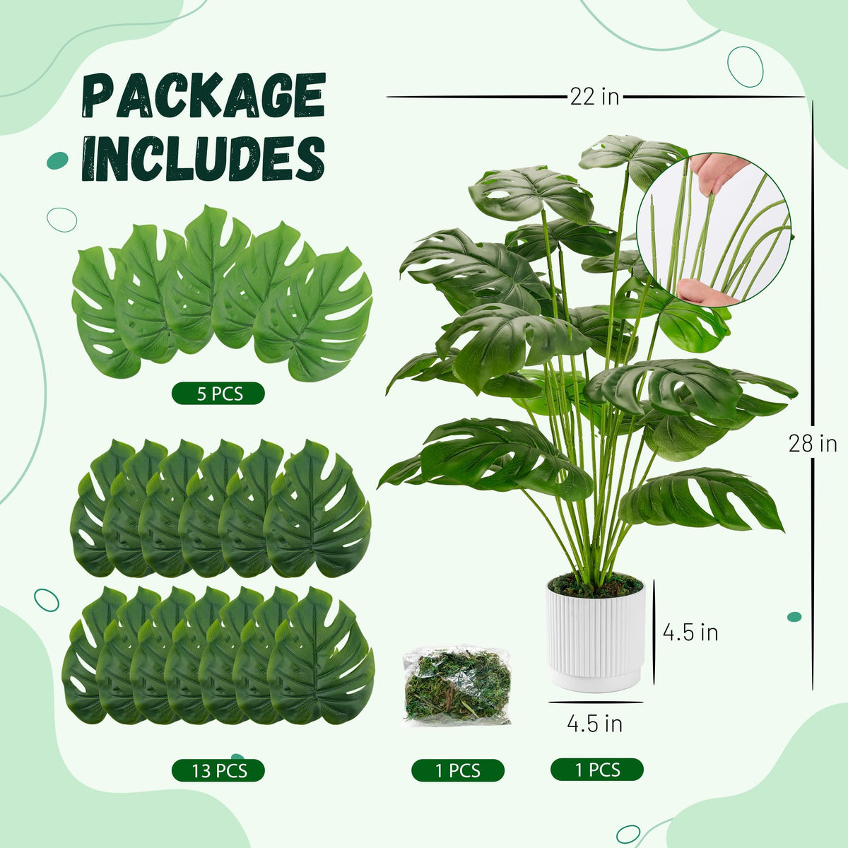 Large monstera plant indoors for easy, low-maintenance decor.