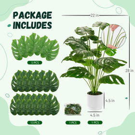 Large monstera plant indoors for easy, low-maintenance decor.