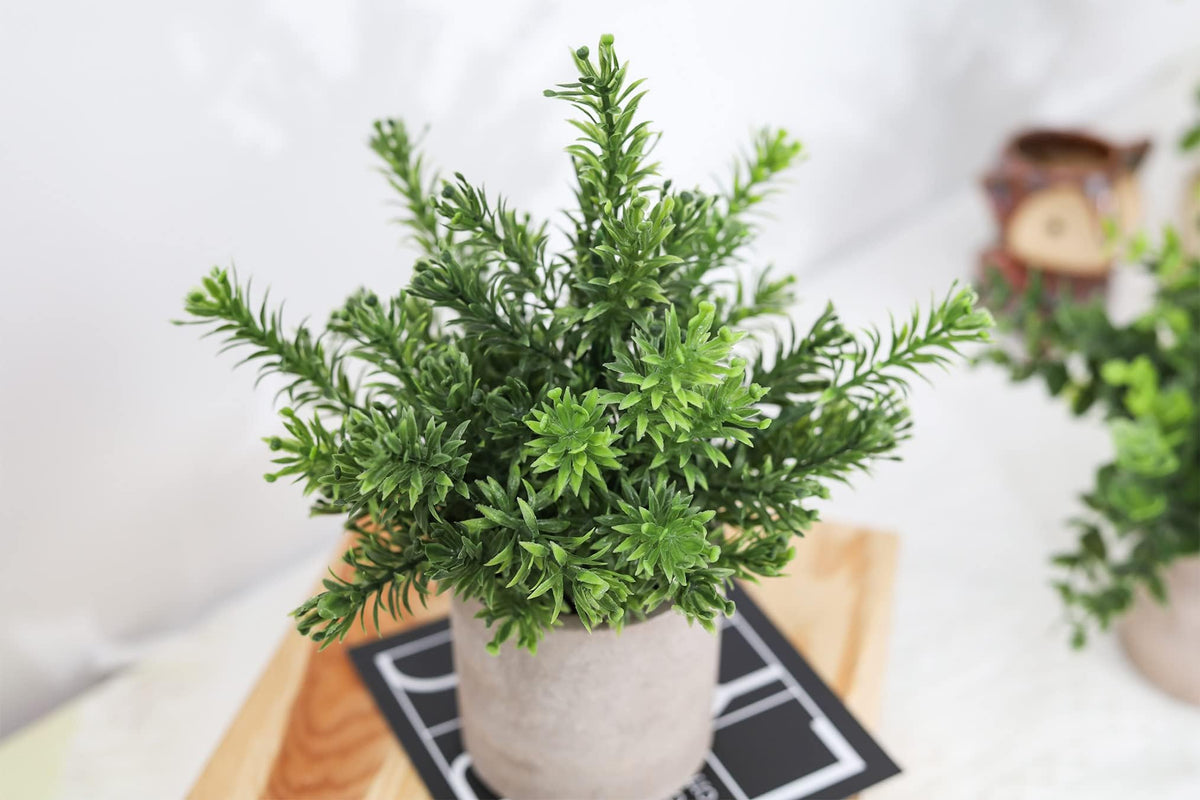 Der Rose lifelike desk topiaries evoke a fresh natural vibe