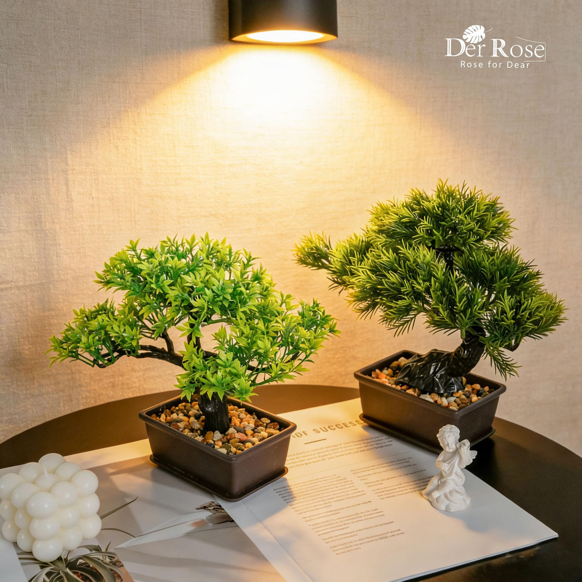 Der Rose low-maintenance indoor bonsai suitable for low-light bathrooms or desks.