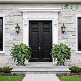 Der Rose maintenance-free fern requires no watering.