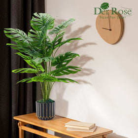 Der Rose maintenance-free Monstera saves watering time.