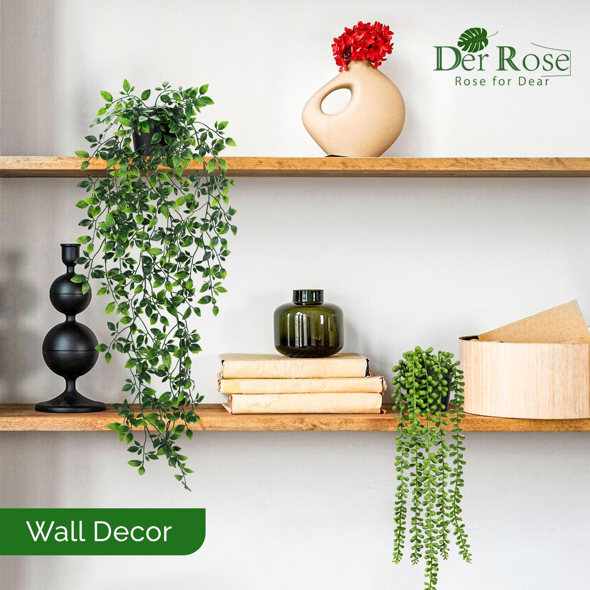 Der Rose mandala vine 6pack: vibrant hanging greenery for shelves or walls