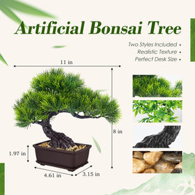 Der Rose mini bonsai tree eight inches tall for space-saving indoor styling.