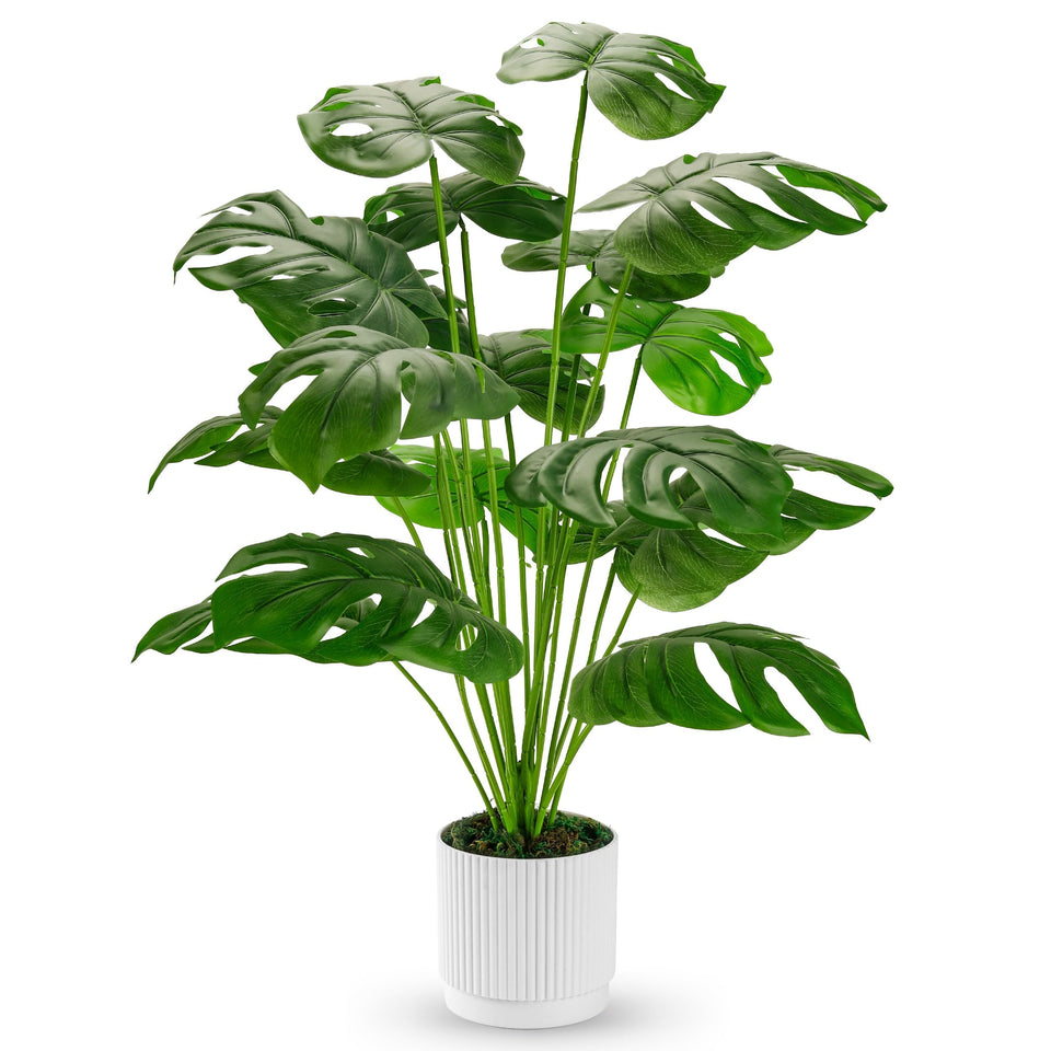 Der Rose 28-inch Monstera in white pot, tall statement piece for any room.