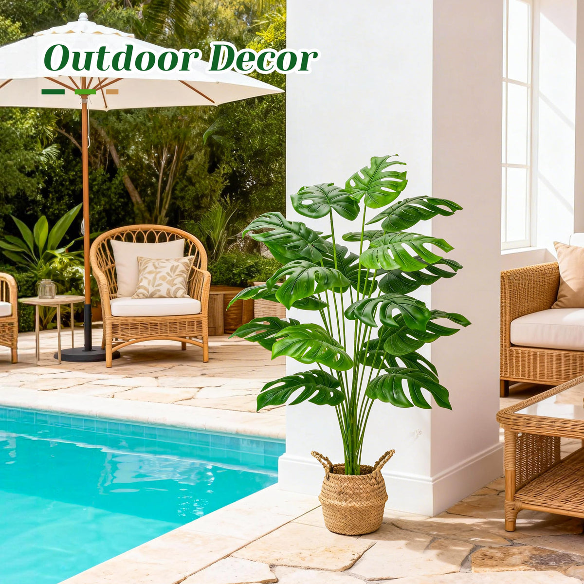 5-8 minute assembly for Der Rose Monstera refreshes spaces.