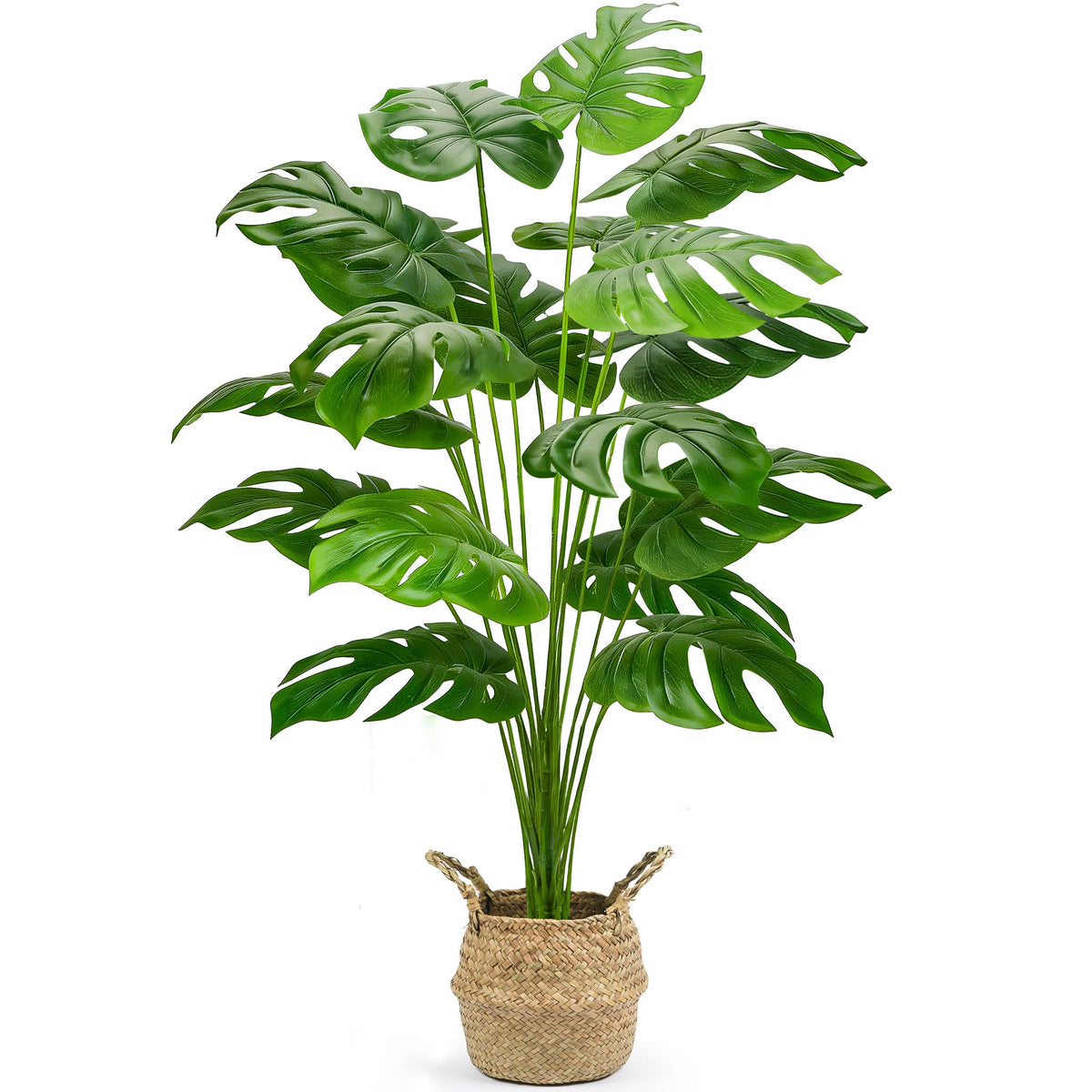 Der Rose Monstera 44in in a woven basket enhances room decor.